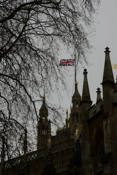 DSC_5622 (Large).JPG